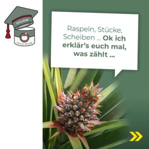 221125_PMM_Instagram_College_Karussell_04-min