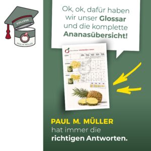 221125_PMM_Instagram_College_Karussell_07-min