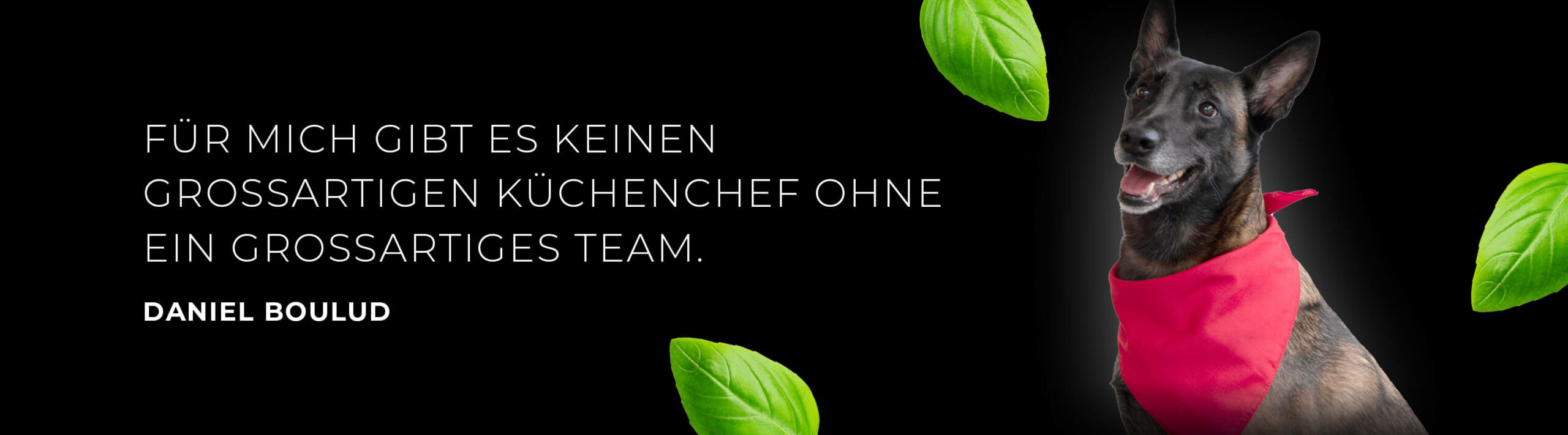 PMM_Header_Pictures_Team_03